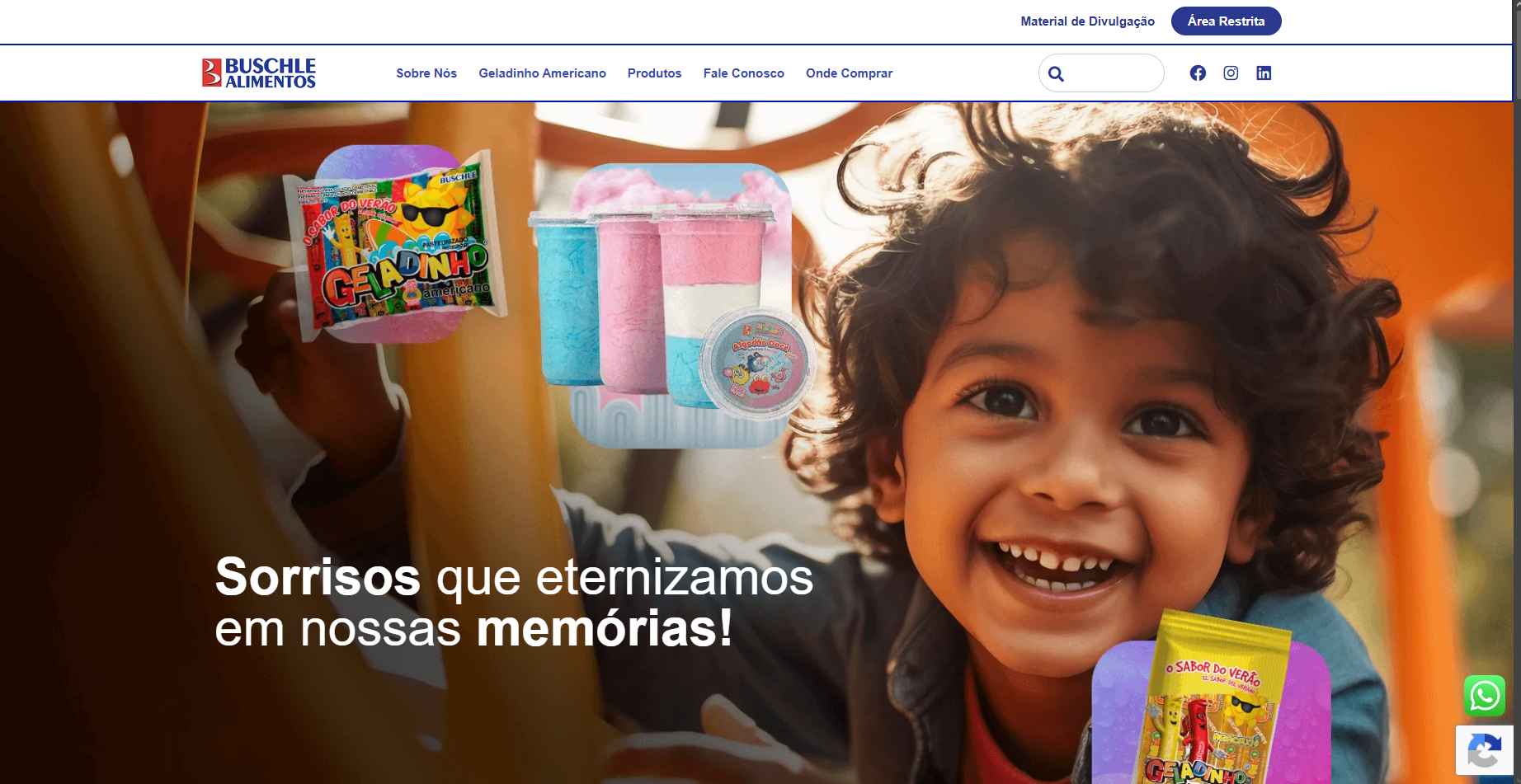 Screenshot do projeto institucional